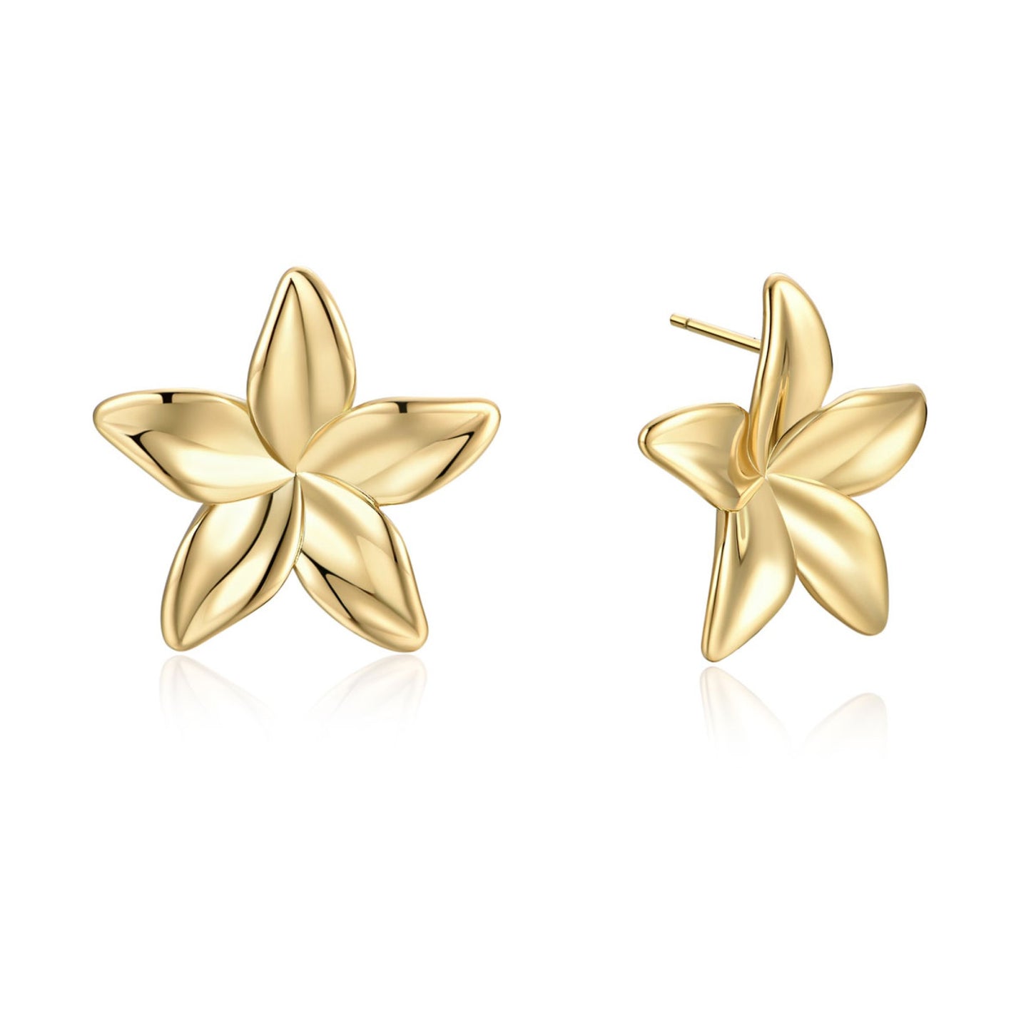 Star Earrings